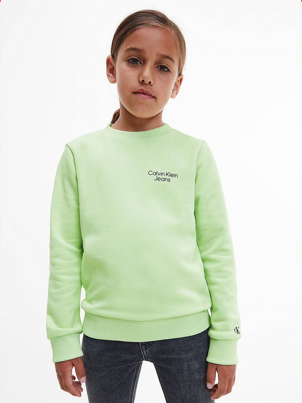 EXOTIC MINT Organic Cotton Terry Sweatshirt undefined boys Calvin Klein