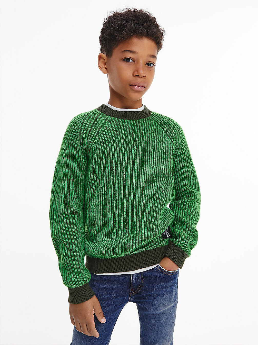 GALVANIC GREEN Strukturierter Zweifarbiger Pullover undefined boys Calvin Klein