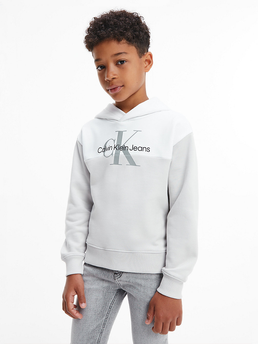 STONE GREY Colourblock Logo Hoodie undefined boys Calvin Klein