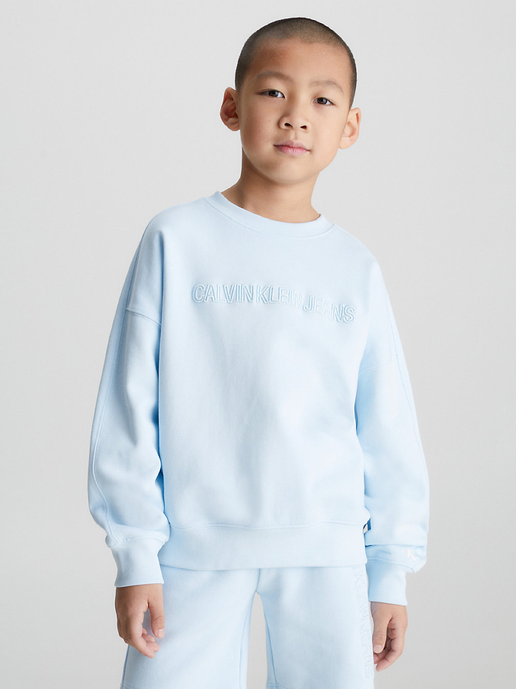 KEEPSAKE BLUE Relaxed Sweatshirt Met Logo undefined boys Calvin Klein