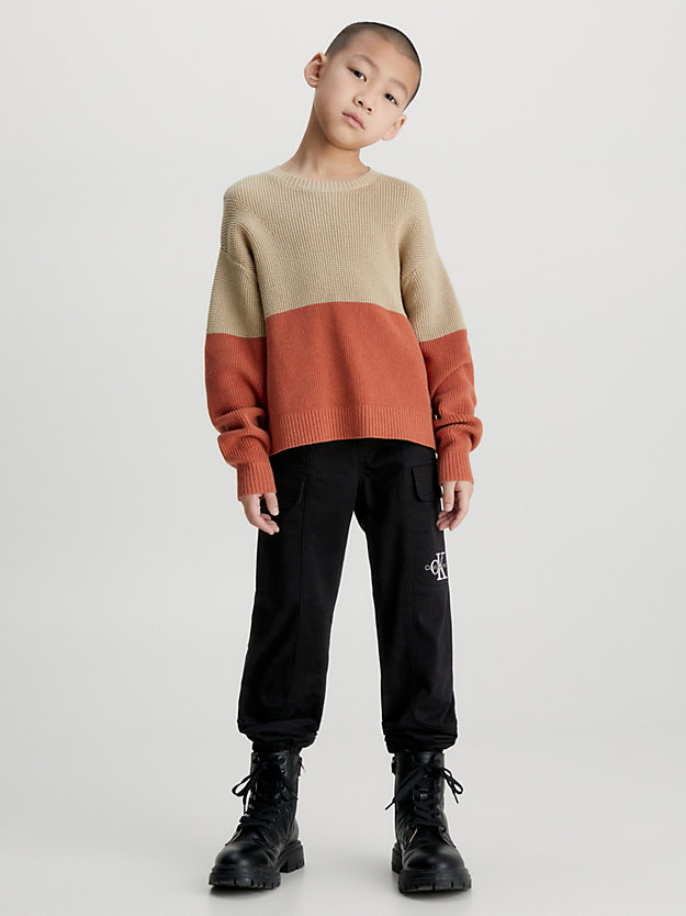 travertine / auburn relaxed colourblock jumper for boys calvin klein jeans