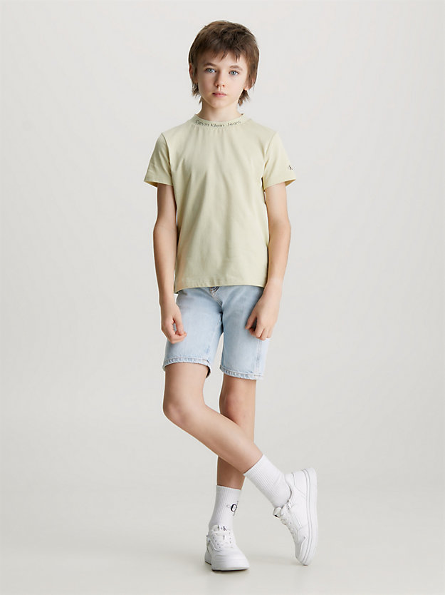 green haze / ck black 2 pack logo t-shirts for boys calvin klein jeans