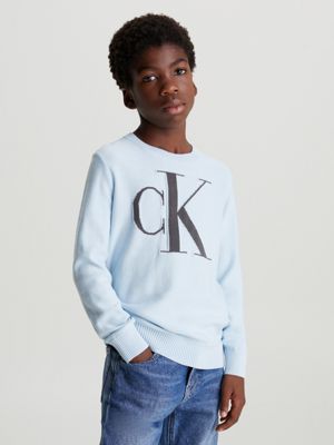 Calvin klein baby blue on sale sweatshirt