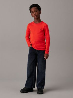 flamming chili / pelican 2 pack long sleeve t-shirts for boys calvin klein jeans