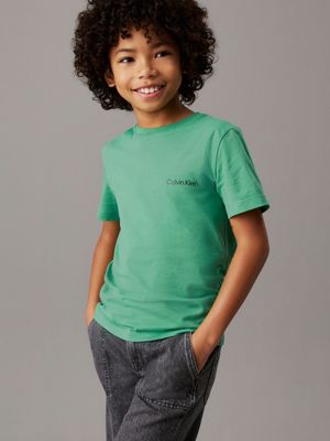 vintage green / black colorblock 2 pack t-shirts for boys calvin klein jeans