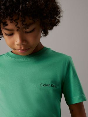 vintage green / black colorblock 2 pack t-shirts for boys calvin klein jeans