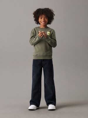 dusty olive relaxed logo sweatshirt for boys calvin klein jeans