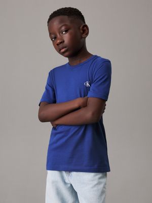 pigment blue / thin blue stripes 2 pack t-shirts for boys calvin klein jeans