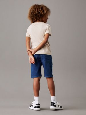 oyster gray logo t-shirt for boys calvin klein jeans