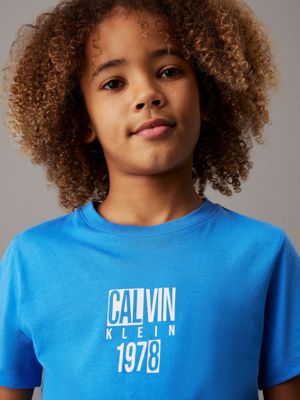 mesmerizing blue logo t-shirt for boys calvin klein jeans