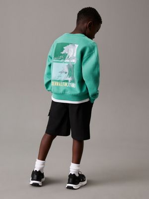 bahama green relaxed back graphic sweatshirt for boys calvin klein jeans