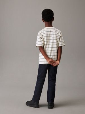 turtledove / blue stripes striped t-shirt for boys calvin klein jeans