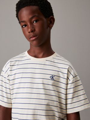 turtledove / blue stripes striped t-shirt for boys calvin klein jeans