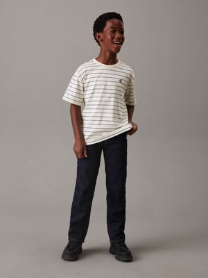 turtledove / blue stripes striped t-shirt for boys calvin klein jeans