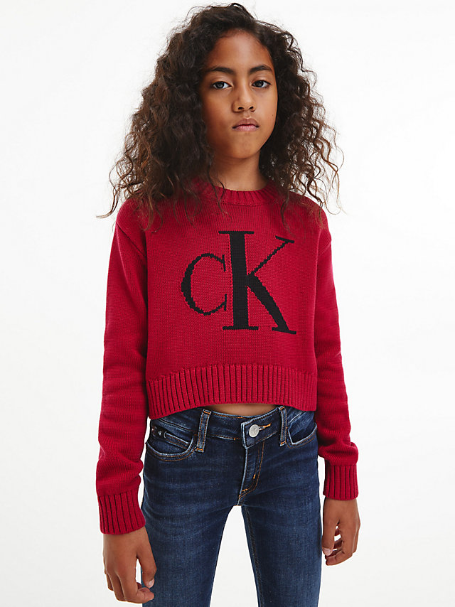 Royal Berry Organic Cotton Logo Jumper undefined girls Calvin Klein