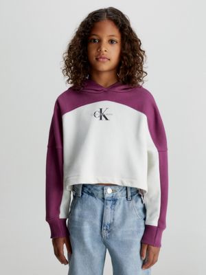 Calvin klein 2025 colour block hoodie