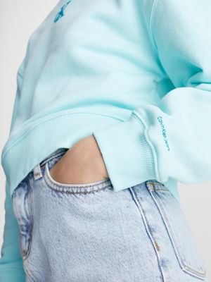 Light blue calvin klein sweatshirt sale