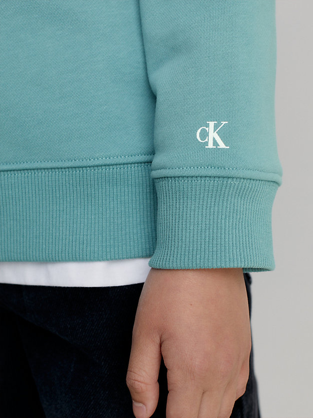 arctic unisex logo hoodie for kids unisex calvin klein jeans