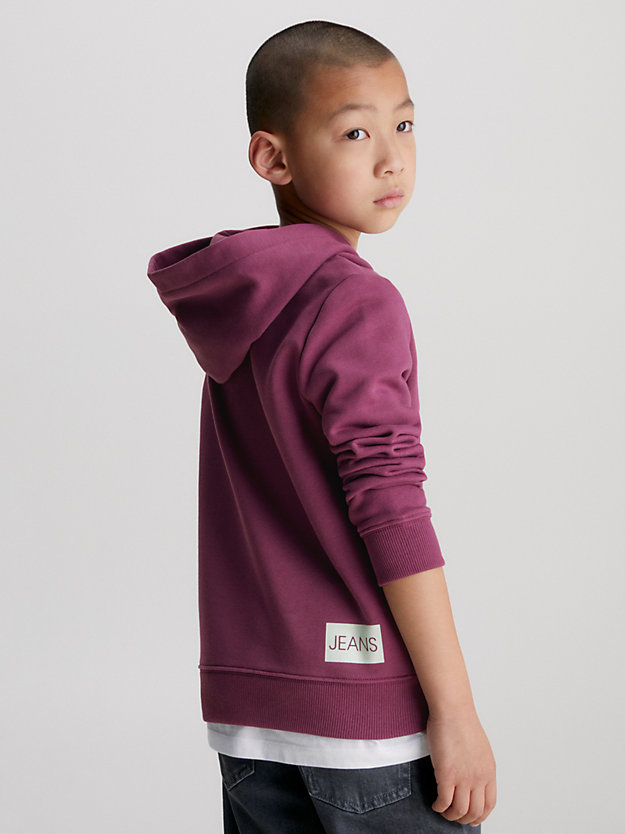 amaranth unisex logo hoodie for kids unisex calvin klein jeans