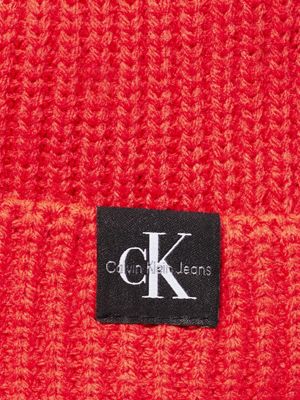 flaming chili kids' ribbed beanie for kids gender inclusive calvin klein jeans