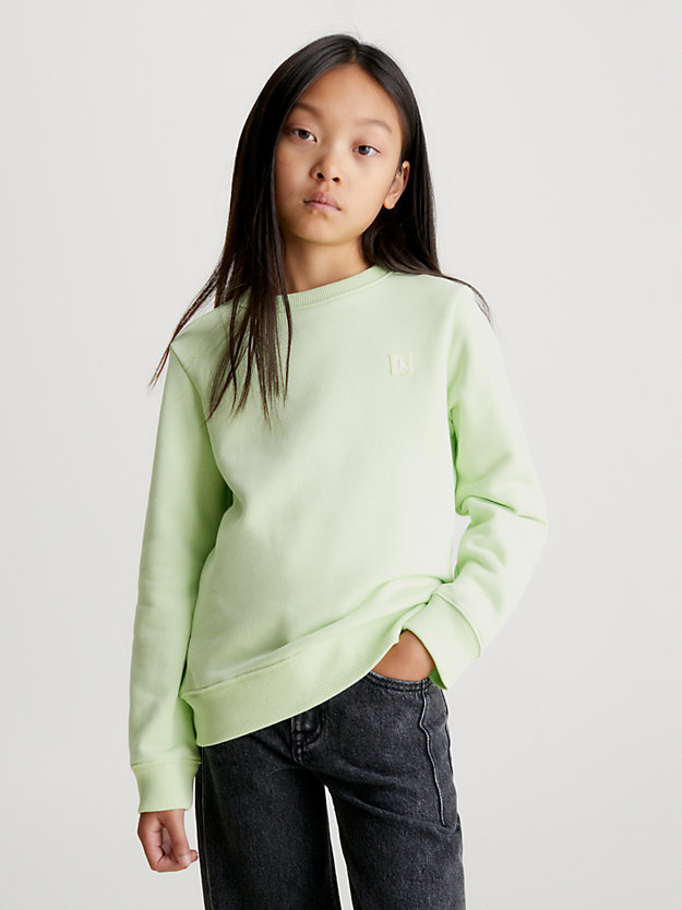 exotic mint kids' monogram terry sweatshirt for kids unisex calvin klein jeans
