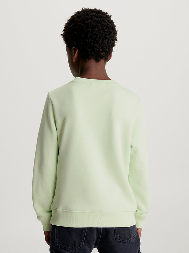 exotic mint kids' monogram terry sweatshirt for kids unisex calvin klein jeans
