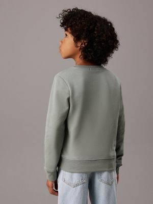 meteor green kids' terry logo sweatshirt for kids gender inclusive calvin klein jeans