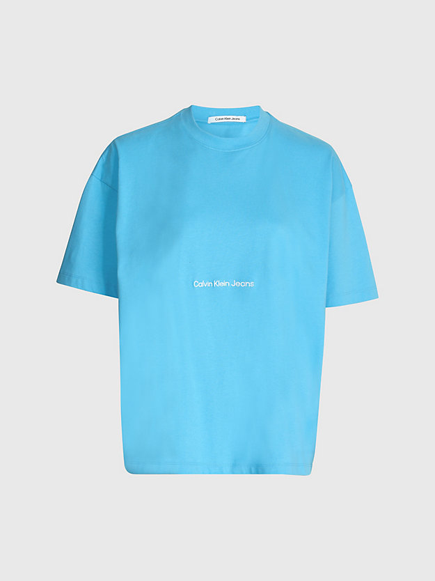 BLUE CRUSH Boyfriend Logo T-shirt for women CALVIN KLEIN JEANS