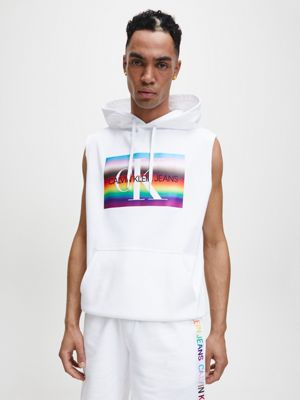 rainbow logo hoodie