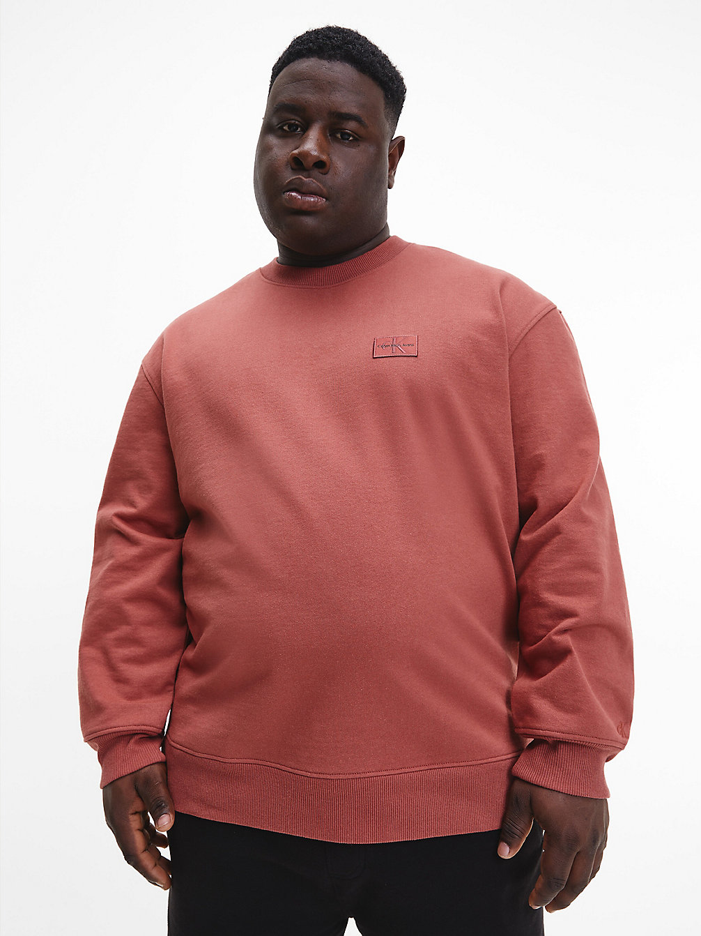 TERRACOTTA TILE Plus Size Recycled Cotton Sweatshirt undefined men Calvin Klein