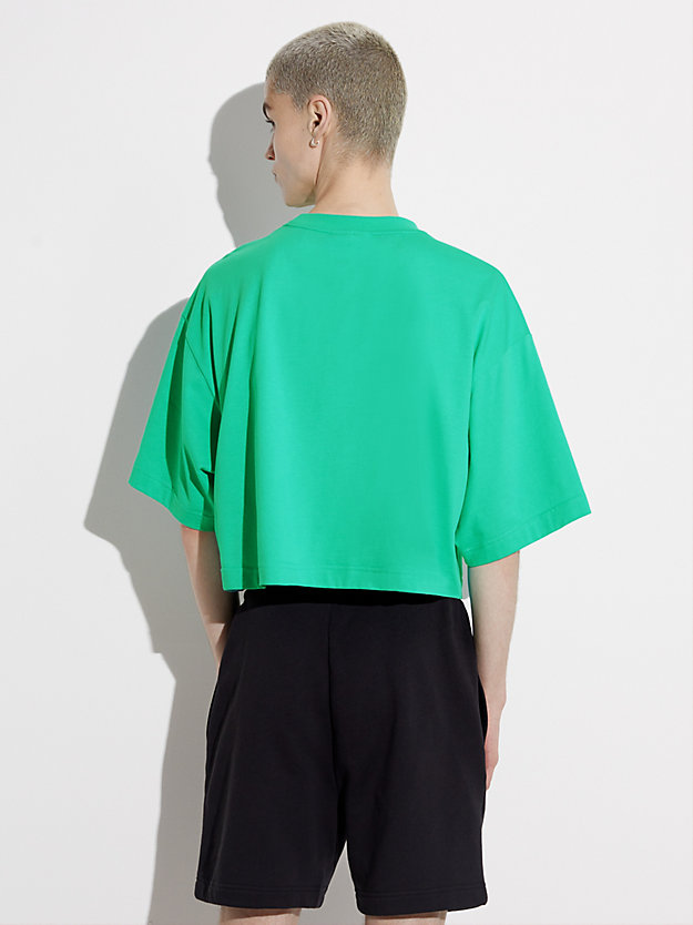 aqua green oversized cropped t-shirt - pride for men calvin klein jeans
