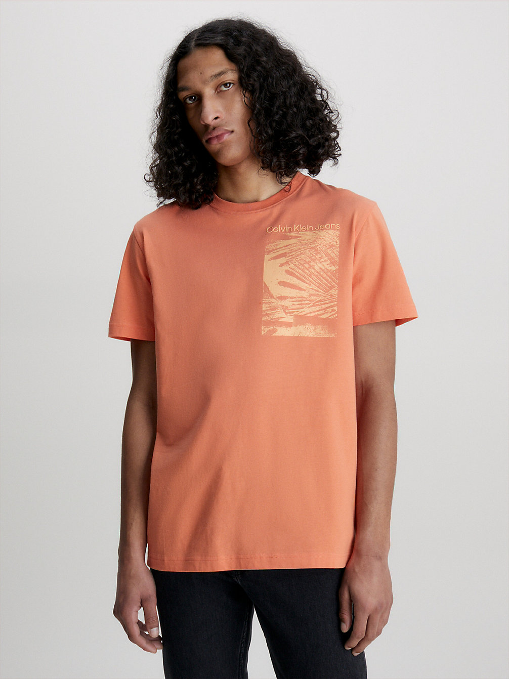 SUMMER SQUASH Palm Print T-Shirt undefined men Calvin Klein