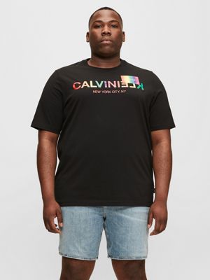 rainbow calvin klein shirt