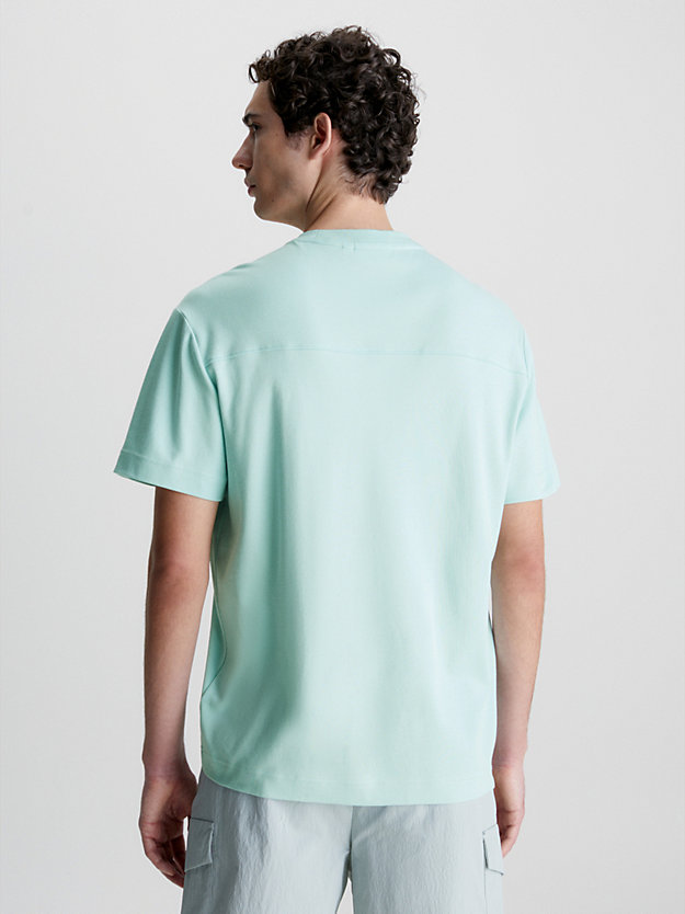 GHOST GLACIER T-Shirt aus Bio-Baumwolle für Herren CALVIN KLEIN