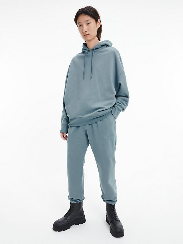 goblin blue unisex relaxed hoodie - ck standards for unisex calvin klein
