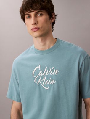 smoke blue relaxed t-shirt met grafisch scriptlogo voor heren - 